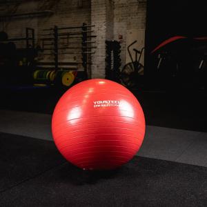 Купить Гимнастический мяч Yousteel Hard 55см в Октябрьском 